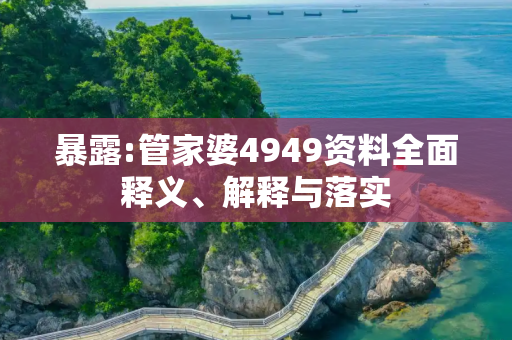 暴露:管家婆4949资料全面释义、解释与落实