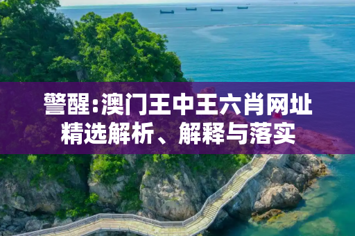警醒:澳门王中王六肖网址精选解析、解释与落实