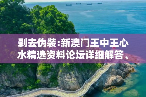 剥去伪装:新澳门王中王心水精选资料论坛详细解答、解释与落实