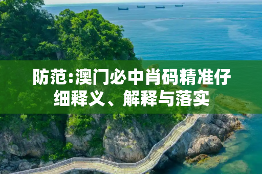 防范:澳门必中肖码精准仔细释义、解释与落实