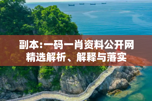 副本:一码一肖资料公开网精选解析、解释与落实