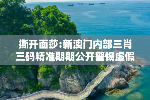 撕开面莎:新澳门内部三肖三码精准期期公开警惕虚假宣传-全面释义