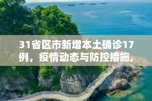 31省区市新增本土确诊17例，疫情动态与防控措施,31省区市新增本土确诊17例