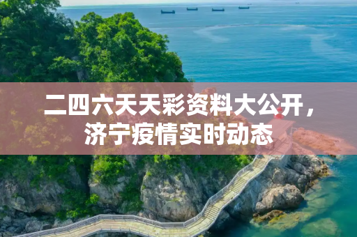 二四六天天彩资料大公开，济宁疫情实时动态