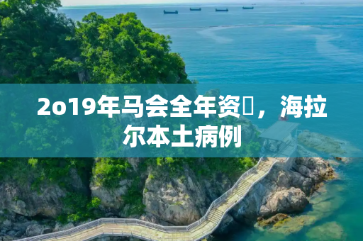 2o19年马会全年资枓，海拉尔本土病例