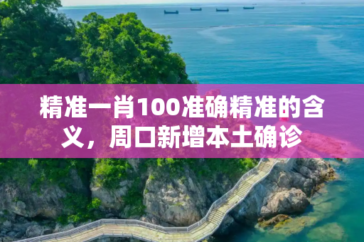 精准一肖100准确精准的含义，周口新增本土确诊