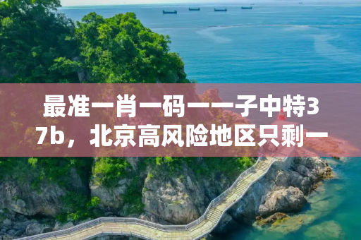 最准一肖一码一一子中特37b，北京高风险地区只剩一个