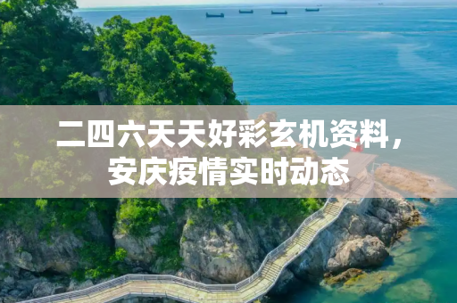 二四六天天好彩玄机资料，安庆疫情实时动态