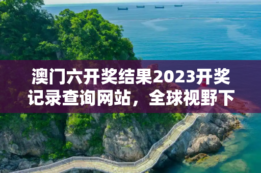 澳门六开奖结果2023开奖记录查询网站，全球视野下的COVID19疫情起源与影响