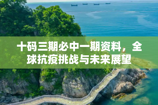 十码三期必中一期资料，全球抗疫挑战与未来展望