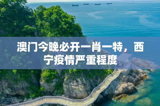 澳门今晚必开一肖一特，西宁疫情严重程度