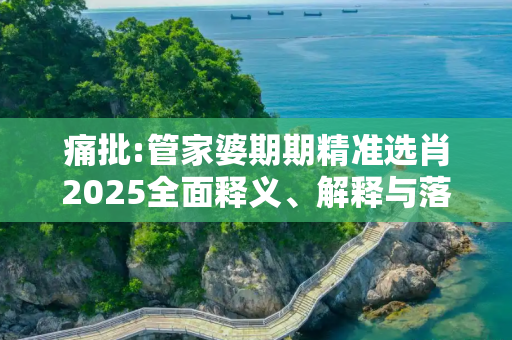 痛批:管家婆期期精准选肖2025全面释义、解释与落实