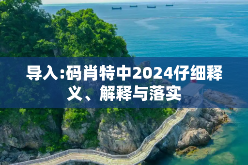 导入:码肖特中2024仔细释义、解释与落实