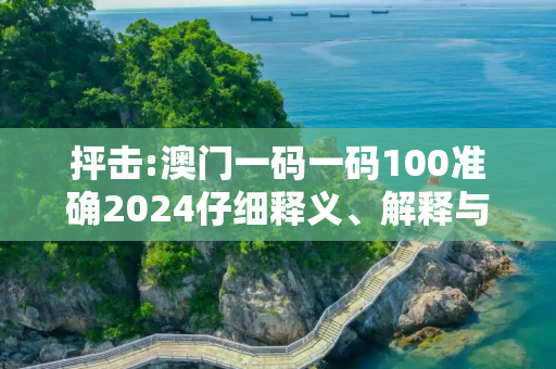 抨击:澳门一码一码100准确2024仔细释义、解释与落实