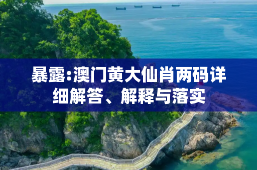 暴露:澳门黄大仙肖两码详细解答、解释与落实