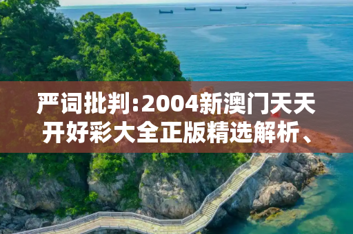 严词批判:2004新澳门天天开好彩大全正版精选解析、解释与落实