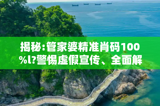 揭秘:管家婆精准肖码100%l?警惕虚假宣传、全面解答与解释