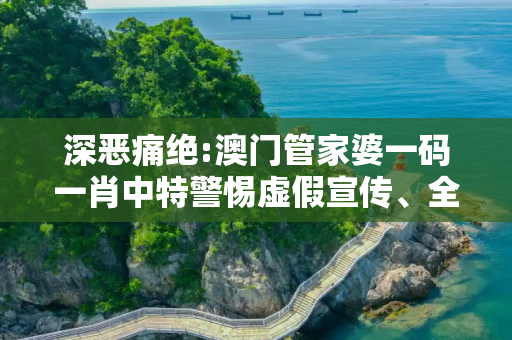 深恶痛绝:澳门管家婆一码一肖中特警惕虚假宣传、全面解答与解释