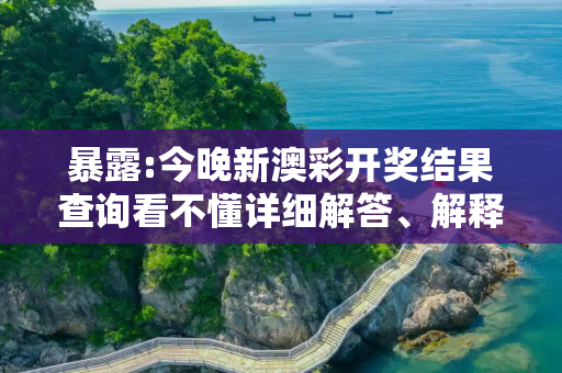 暴露:今晚新澳彩开奖结果查询看不懂详细解答、解释与落实