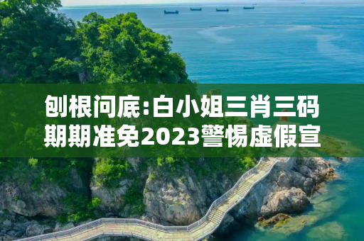 刨根问底:白小姐三肖三码期期准免2023警惕虚假宣传、全面解答