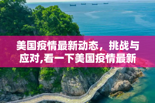 美国疫情最新动态，挑战与应对,看一下美国疫情最新消息