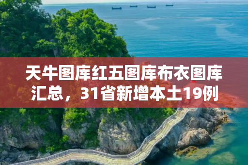 天牛图库红五图库布衣图库汇总，31省新增本土19例