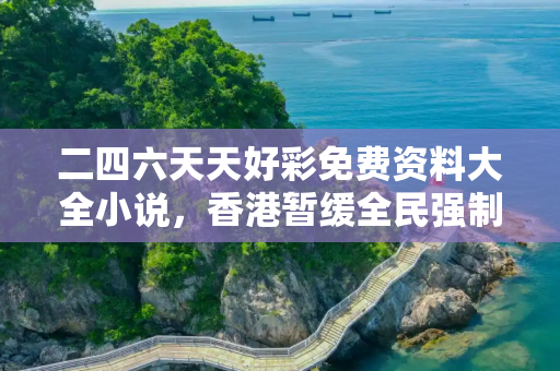 二四六天天好彩免费资料大全小说，香港暂缓全民强制核酸检测