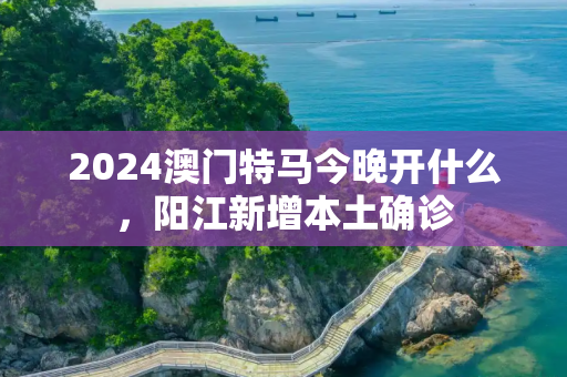2024澳门特马今晚开什么，阳江新增本土确诊