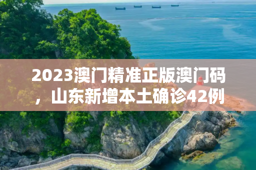 2023澳门精准正版澳门码，山东新增本土确诊42例
