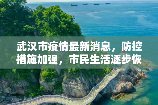 武汉市疫情最新消息，防控措施加强，市民生活逐步恢复,武汉市疫情最新消息