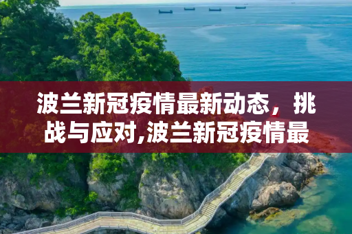 波兰新冠疫情最新动态，挑战与应对,波兰新冠疫情最新动态